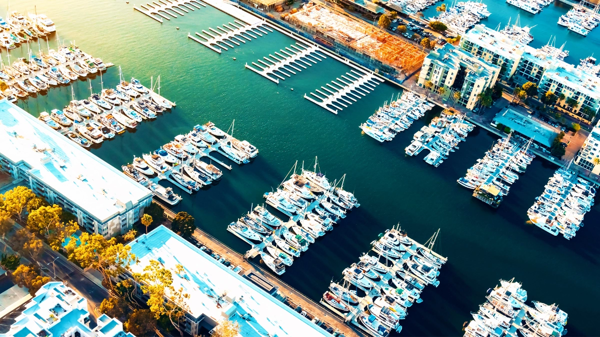 A view of Marina del Rey with boats docked and palm trees along the waterfront.